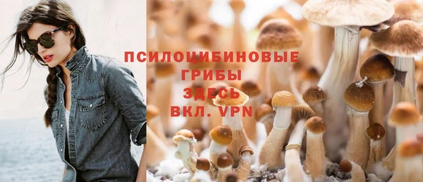 apvp Балабаново
