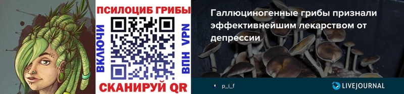 МЕГА ссылки  Ухта  Псилоцибиновые грибы ЛСД  продажа наркотиков 